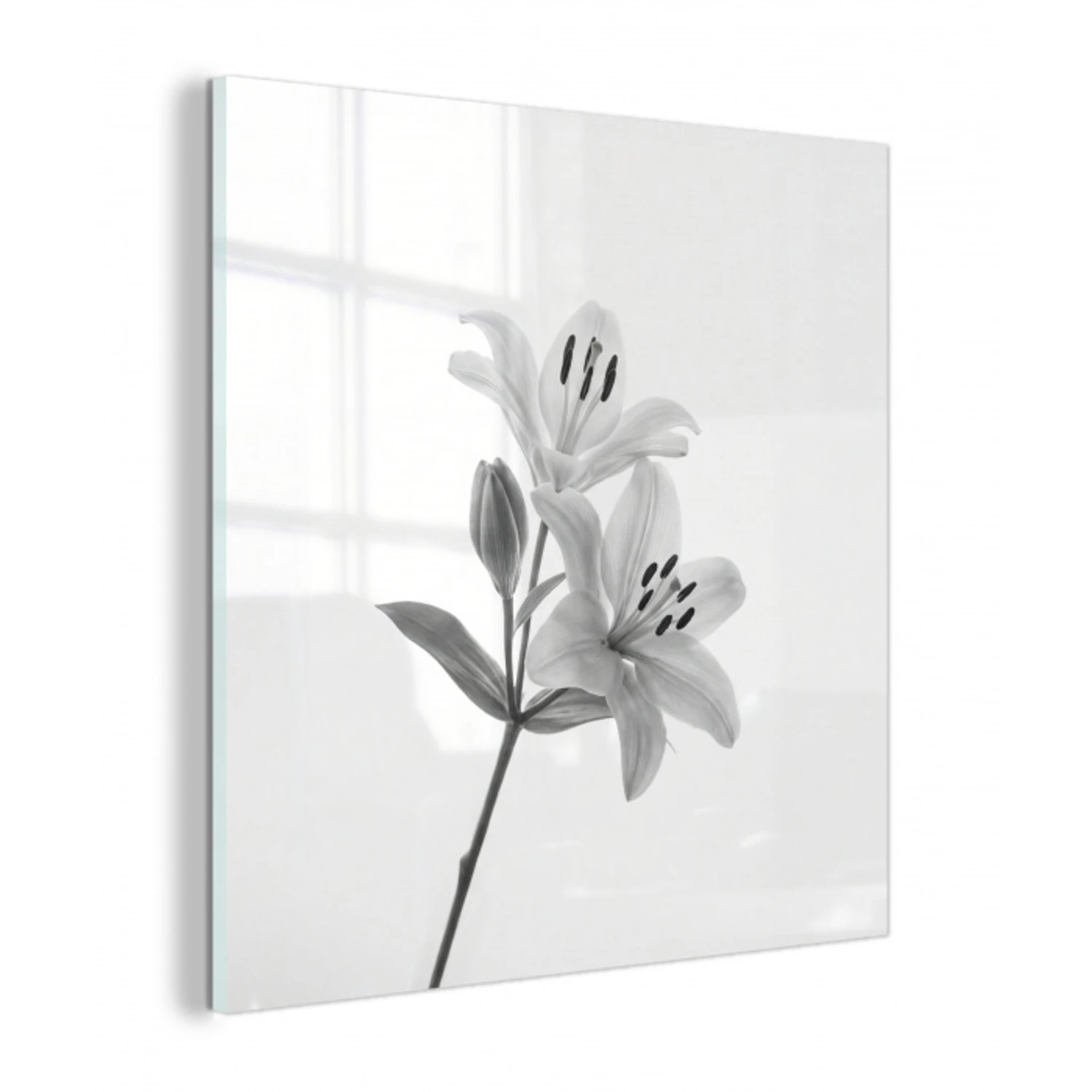 Lelies - Elegant - Zwart - Wit plexiglas 5mm klein -z3d