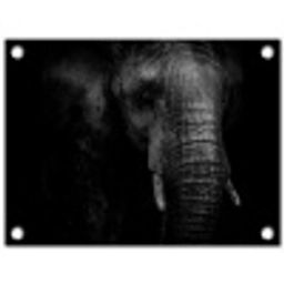 Olifant - Dier - Portret tuinposter los doek klein -3d