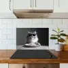 Langharige kat - Zonnebril - Spaghetti - Humor - Zwart - wit keuken achterwand spatscherm klein -sfeer2
