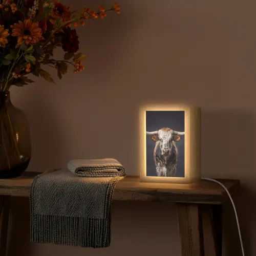 Stier - Kleurrijk - Hoorns Light Box met kabel (Tafellamp) klein -sfeer4