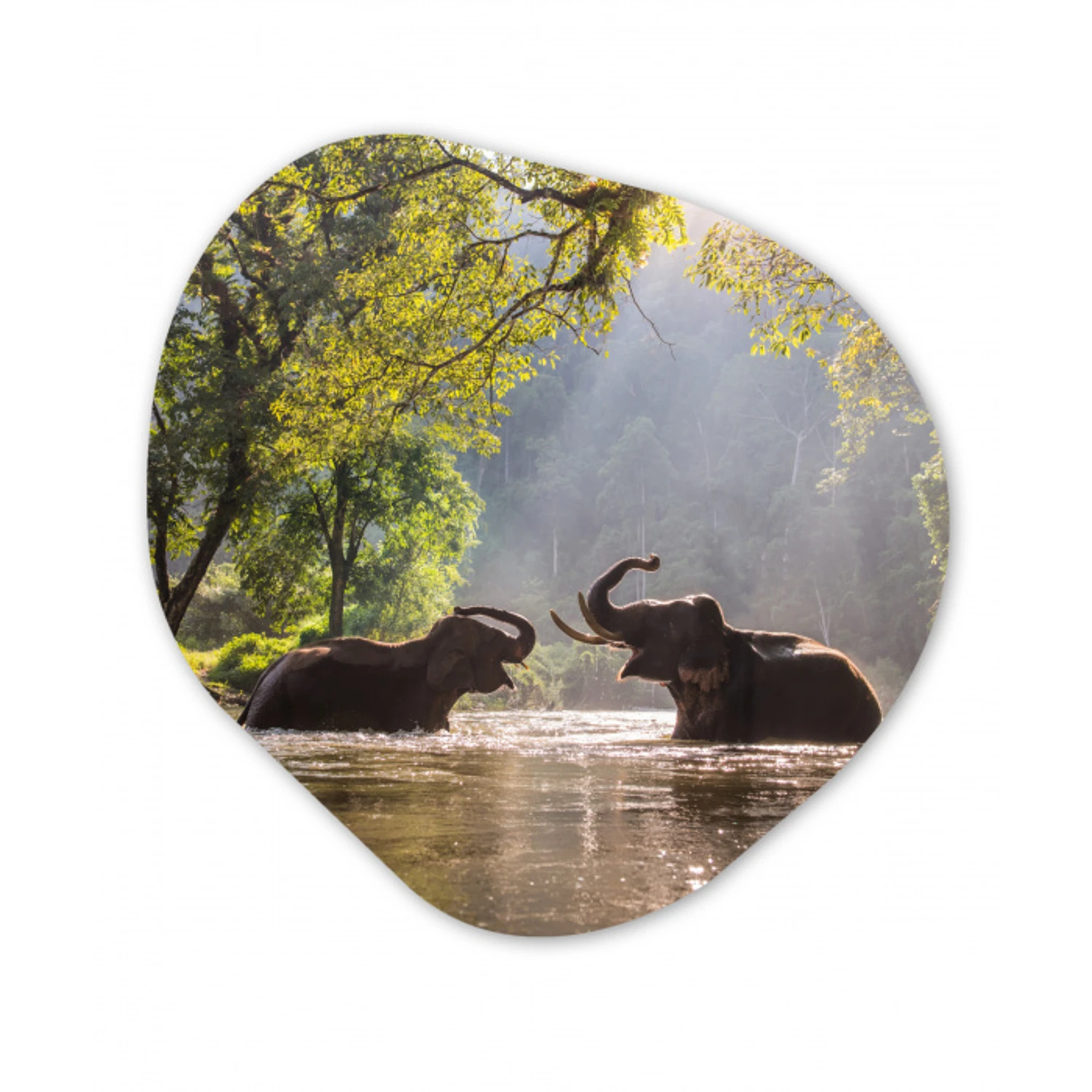 Olifant - Water - Dieren - Bomen - Zon Wandcirkel Organisch Forex 3mm klein -3d