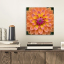 Dahlia - Bloem - Oranje aluminium wit klein -sfeer1