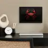 Krab - Rood - Vissen - Schaaldieren fotolijst zwart zonder passe partout klein -sfeer1