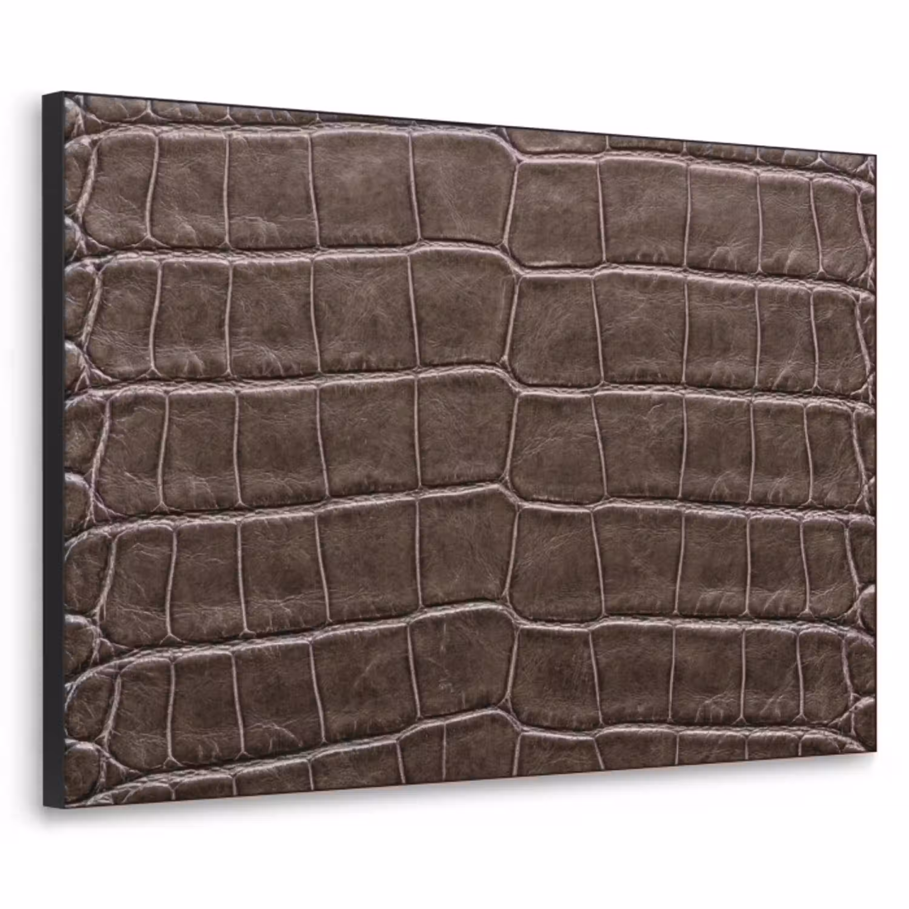 Leer - Krokodil - Mat Textielframe zwart klein -3d