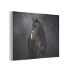 Portret - Paard - Zwart PET vilt klein -3d