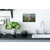 Schildpad - Zeewier - Mozaïek Muursticker klein -keuken