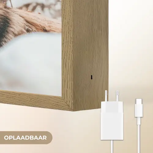 Wolf - Sneeuw - Winter - Dieren - Natuur - Sneeuw Light Box met batterij (Wandlamp) middel -USP_websiteoplaadbaarNL