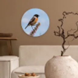 Roodborsttapuit - Heide - Paars - Natuur - Sfeervol Wandcirkel kunststof plaat 5mm dik klein -sfeer1