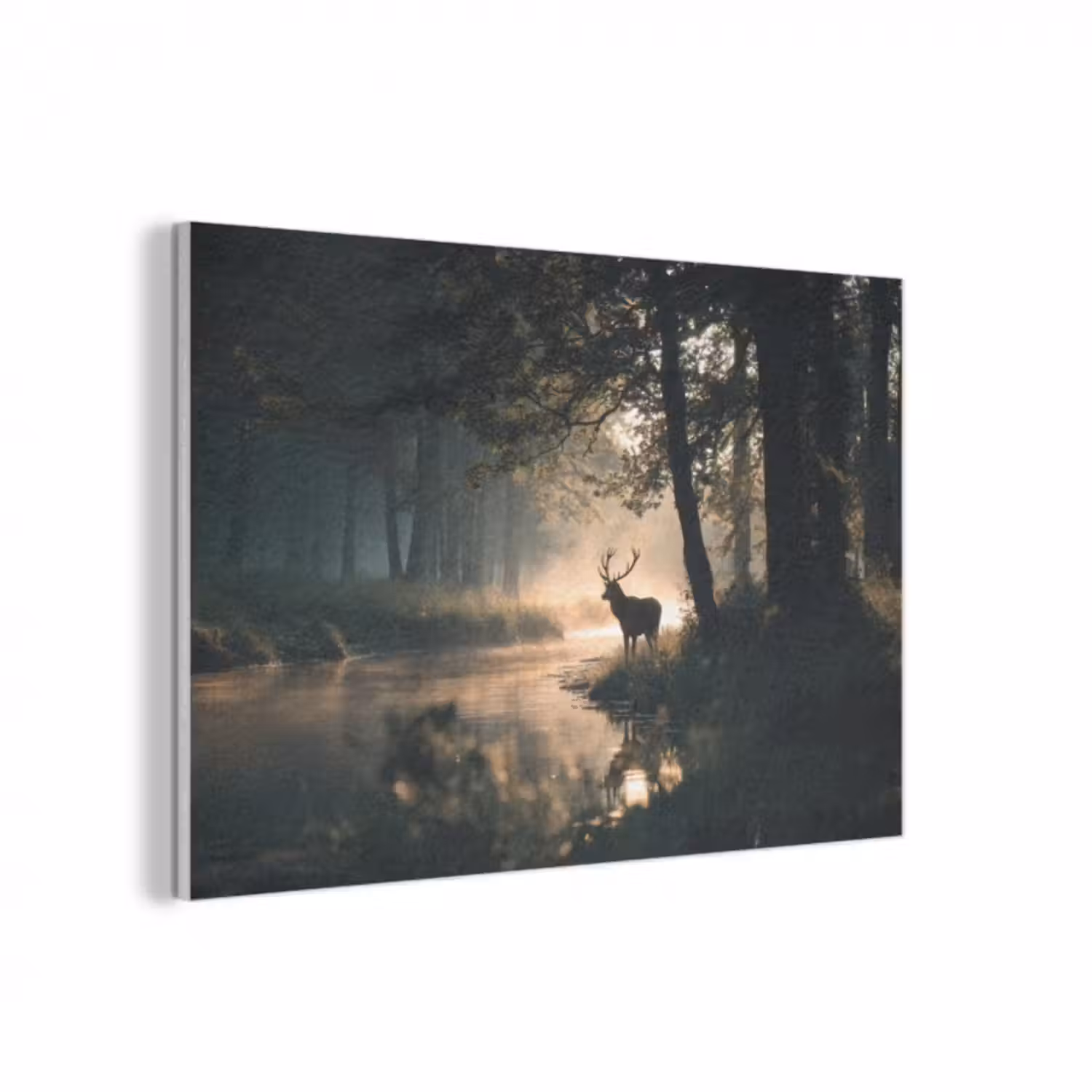 Akustikbild - Hirsche - Waldbach - Mystisch