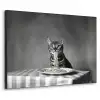 Bengaal - Kat - Tafelkleed - Zwart - Wit - Dier Textielframe - compleet frame klein -3d