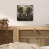 Afrikaanse olifant tegen de donkere wolken plexiglas 5mm klein -sfeer4