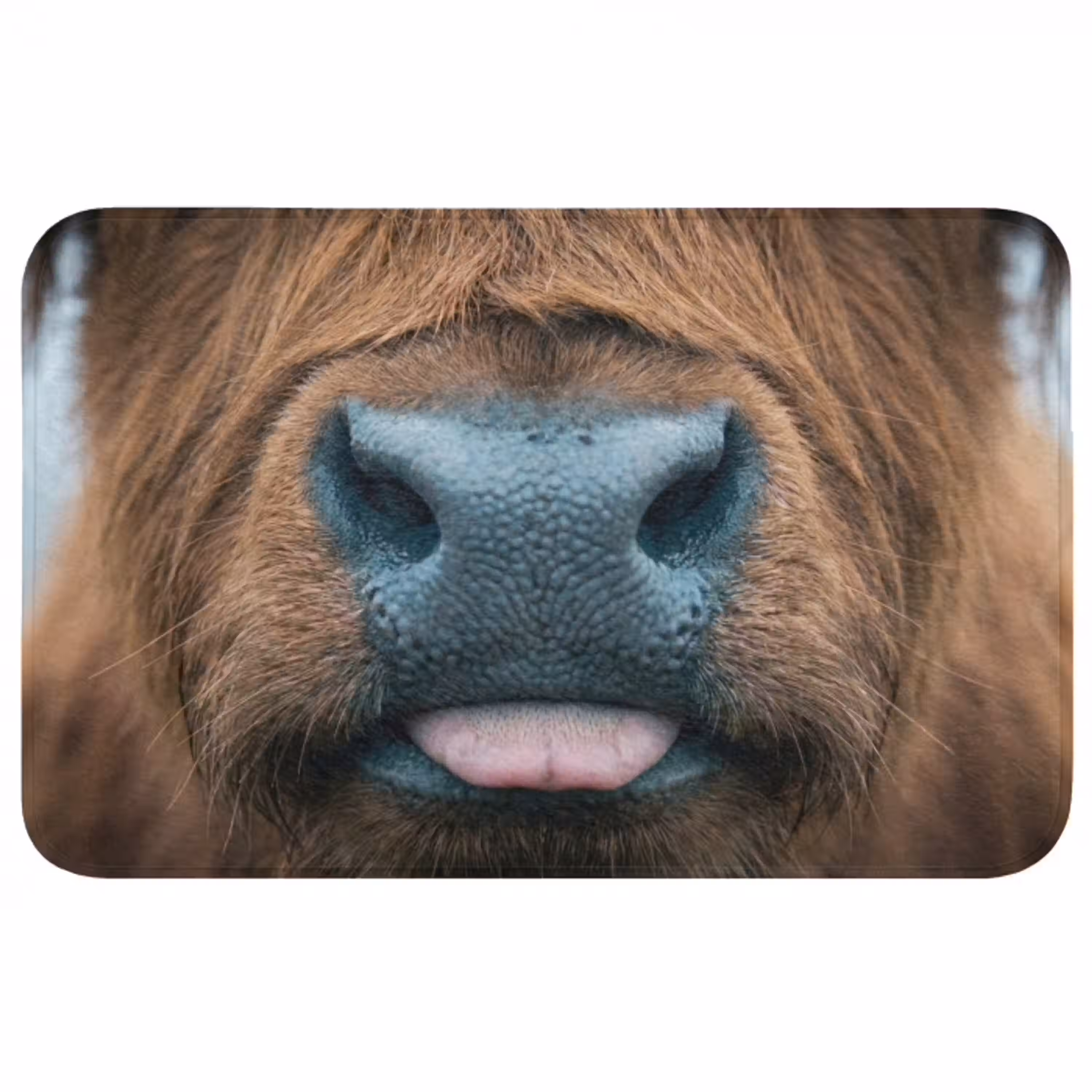 Schotse hooglander - Neus - Bruin Badmat middel -3d