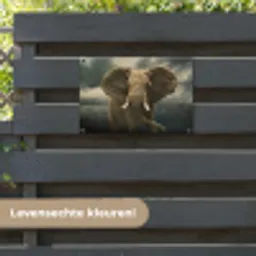 Afrikaanse olifant tegen de donkere wolken tuinposter los doek klein -sfeer3