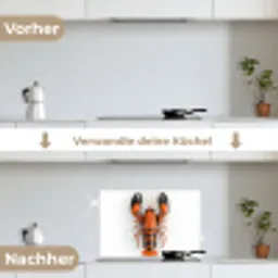 Kreeft - Zwart - Oranje - Wit - Uniek keuken achterwand spatscherm klein -voor_na_DE