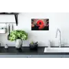 Zon - Krijger - Bomen - Bergen Muursticker klein -keuken