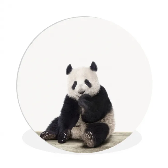 Panda -  Dieren - Kinderen - Jongens - Meisjes - Pandabeer Wandcirkel kunststof plaat 5mm dik klein -3d