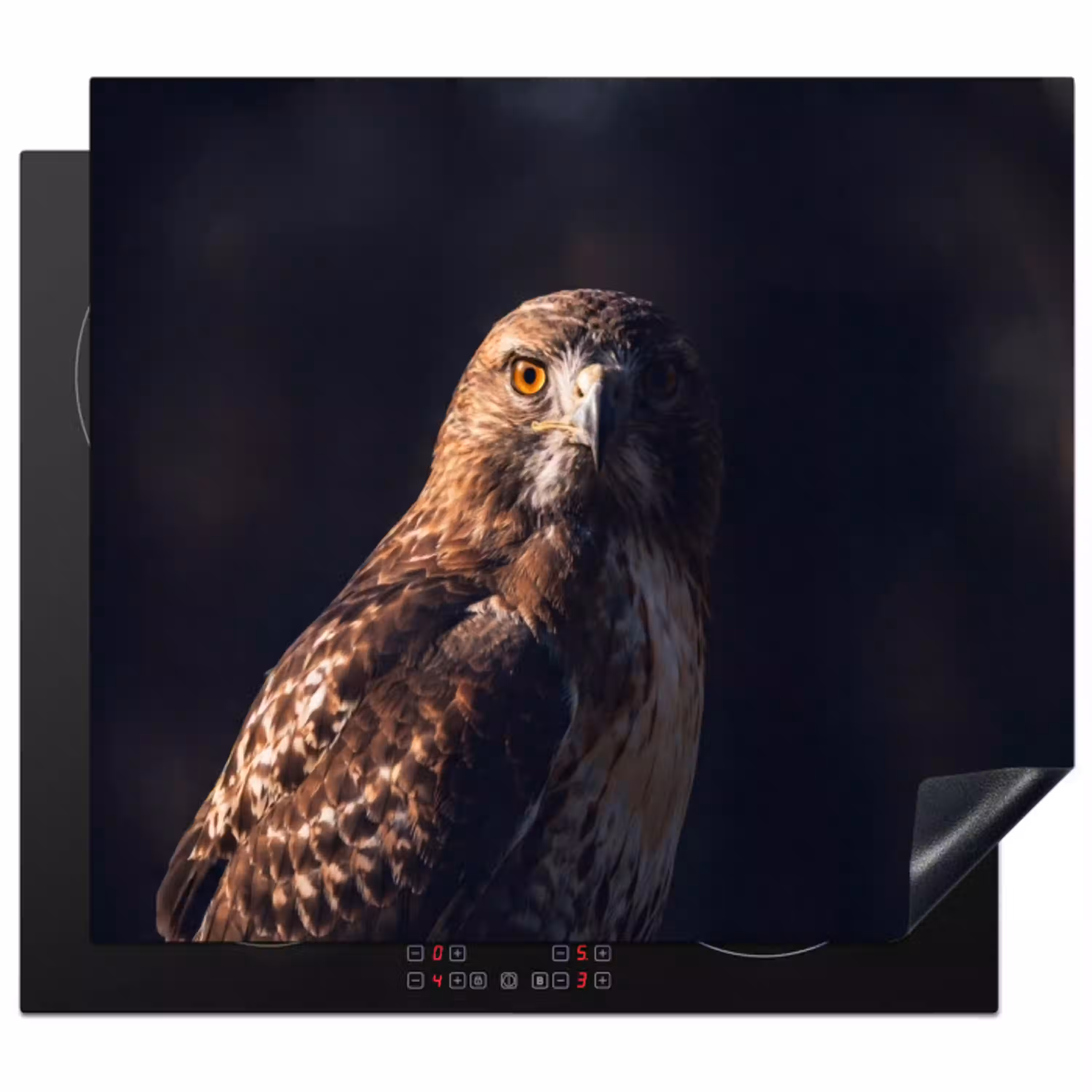 Roofvogel - Buizerd - Bruin Inductie beschermer vinyl 3mm middel -3d