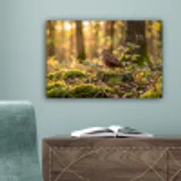 Houtsnip - Bos - Bladeren - Herfst - Gecamoufleerd canvas 2cm klein -sfeer4