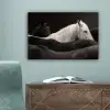 Paarden - Zwart - Wit - Kudde canvas 2cm klein -sfeer4