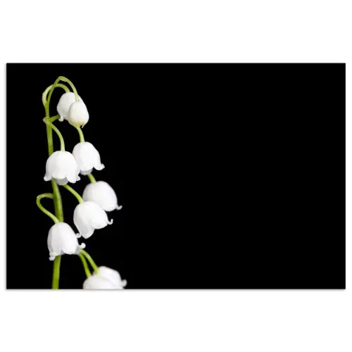 Lelietjes van dalen - Bloemen - Zwart - Flora poster papier klein -3d