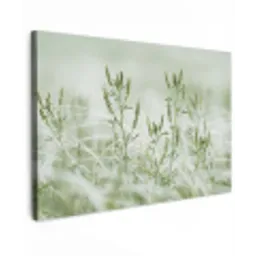 Grassen - Minimalistisch - Groen canvas 2cm klein -z3d