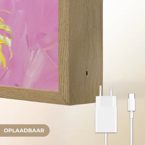 Zonnebril - Vrouw - Jas - Veren Light Box met batterij (Wandlamp) middel -USP_websiteoplaadbaarNL