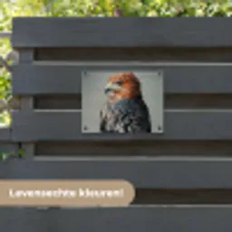 Vogel - Realistisch - Veren - Bruin tuinposter los doek klein -sfeer3