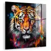 Tijger - Graffiti - Dieren - Zwart plexiglas 5mm klein -zzzproduct_nieuw