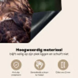 Buizerd - Roofvogel - Natuur - Bruin Inductie beschemer met haakjes klein -ky-onderkant-nl