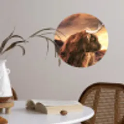 Schotse hooglander - Zon - Horizon - Koe - Dieren Wandcirkel behangsticker klein -sfeer3