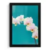 Orchidee - Bloemen - Plant - Wit - Paars fotolijst zwart zonder passe partout klein -3d