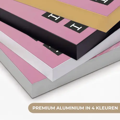 Flamingo - Roze - Vogel - Decoratie Textielframe zwart klein -USP_kleurenNL