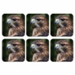 Buizerd - Roofvogel - Natuur - Bruin onderzetter kurk middel -3d