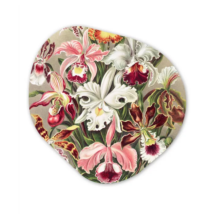 Bloemen - Ernst Haeckel - Vintage - Orchidee Wandcirkel Organisch Forex 3mm klein -3d
