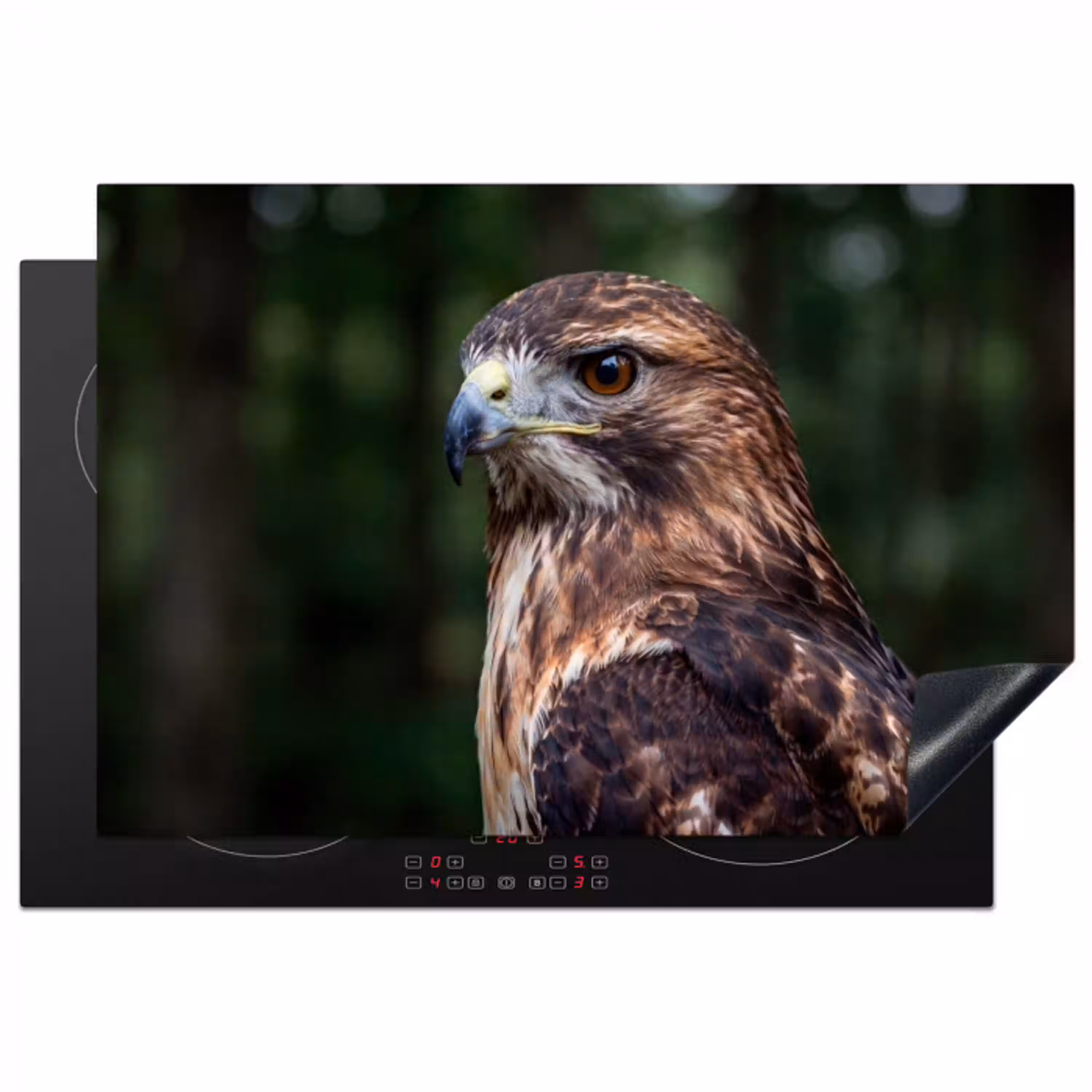 Buizerd - Roofvogel - Natuur - Bruin Inductie beschermer vinyl 3mm klein -3d