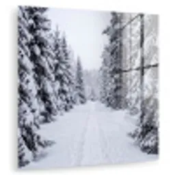 Bos - Winter - Sneeuw - Pad - Natuur plexiglas 5mm klein -zzzproduct_nieuw