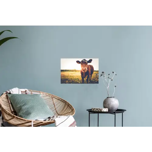 Koe - Zonsondergang - Bloemen - Gras - Dieren Muursticker klein -plant