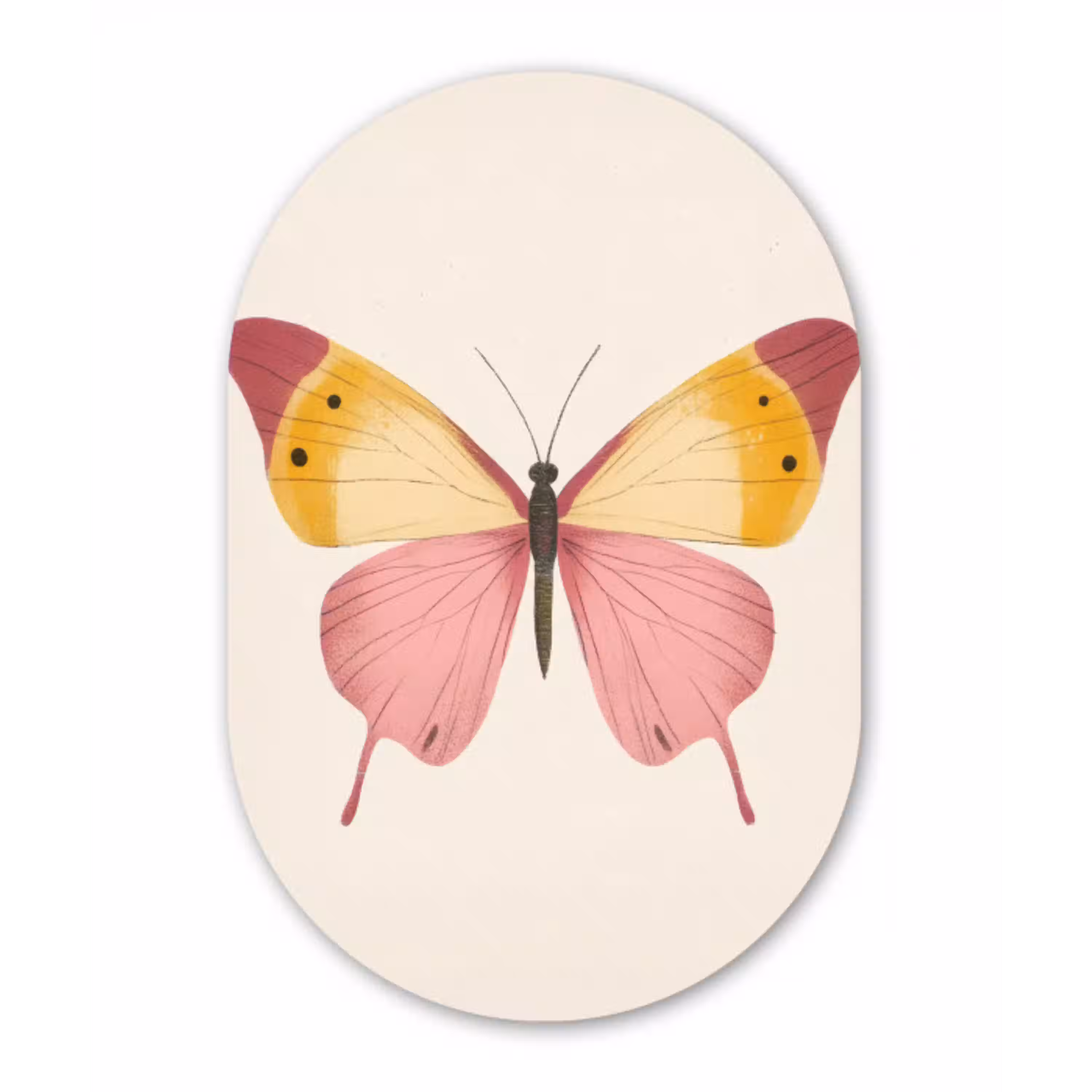 Vlinder - Illustratie - Roze Wandcirkel Ovaal Glas middel -3d