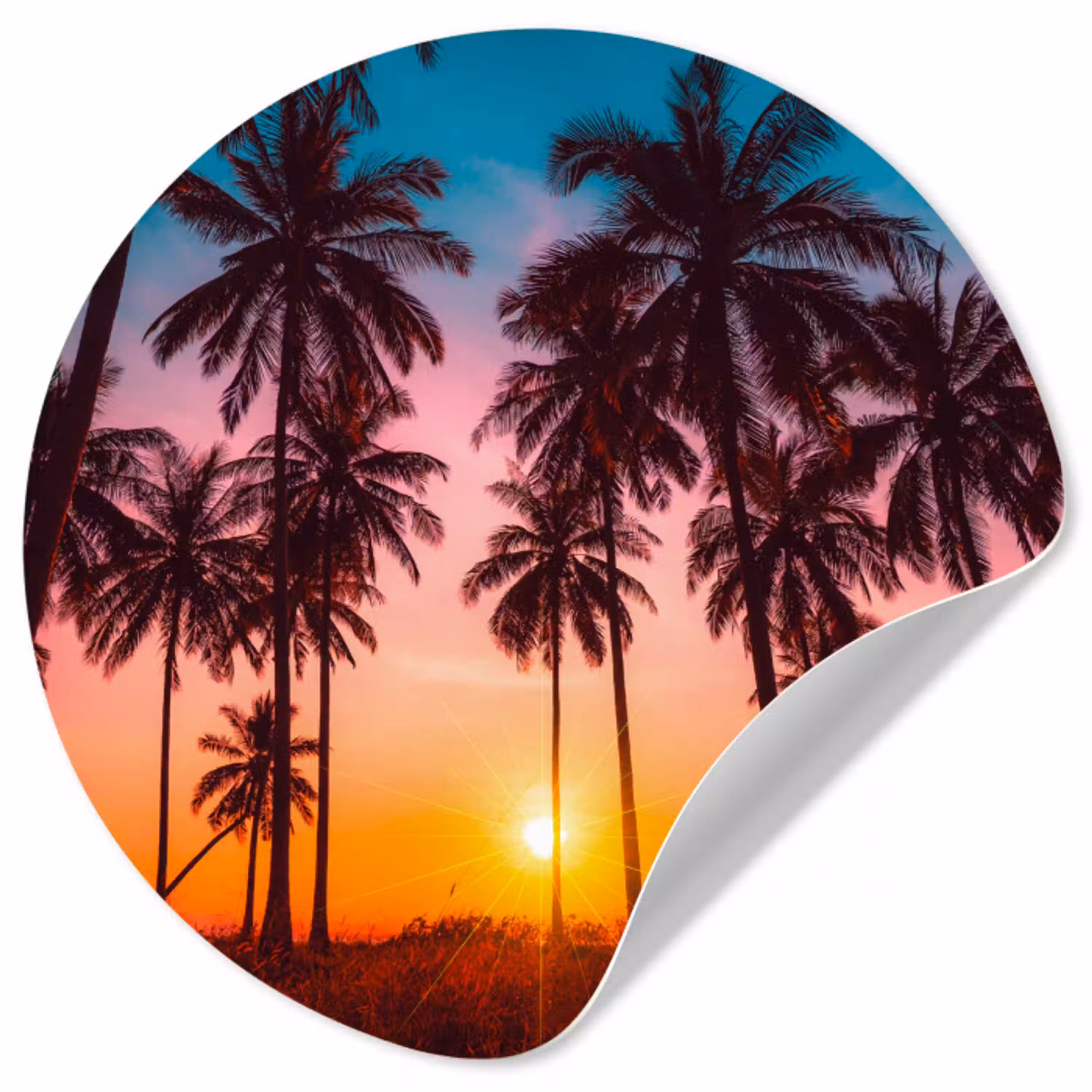 Palmboom - Zonsondergang - Horizon - Strand - Oranje - Roze Wandcirkel behangsticker klein -3d