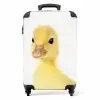 Barry de Badeend NBS - Handbagage koffer - Unisex middel -productfoto_recht