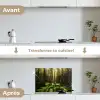 Bomen - Bos - Mos - Planten - Zon - Natuur keuken achterwand spatscherm klein -voor_na_FR