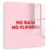 No rain no flowers - Minimalistisch - Roze - Bloem plexiglas 5mm klein -zzzproduct_nieuw