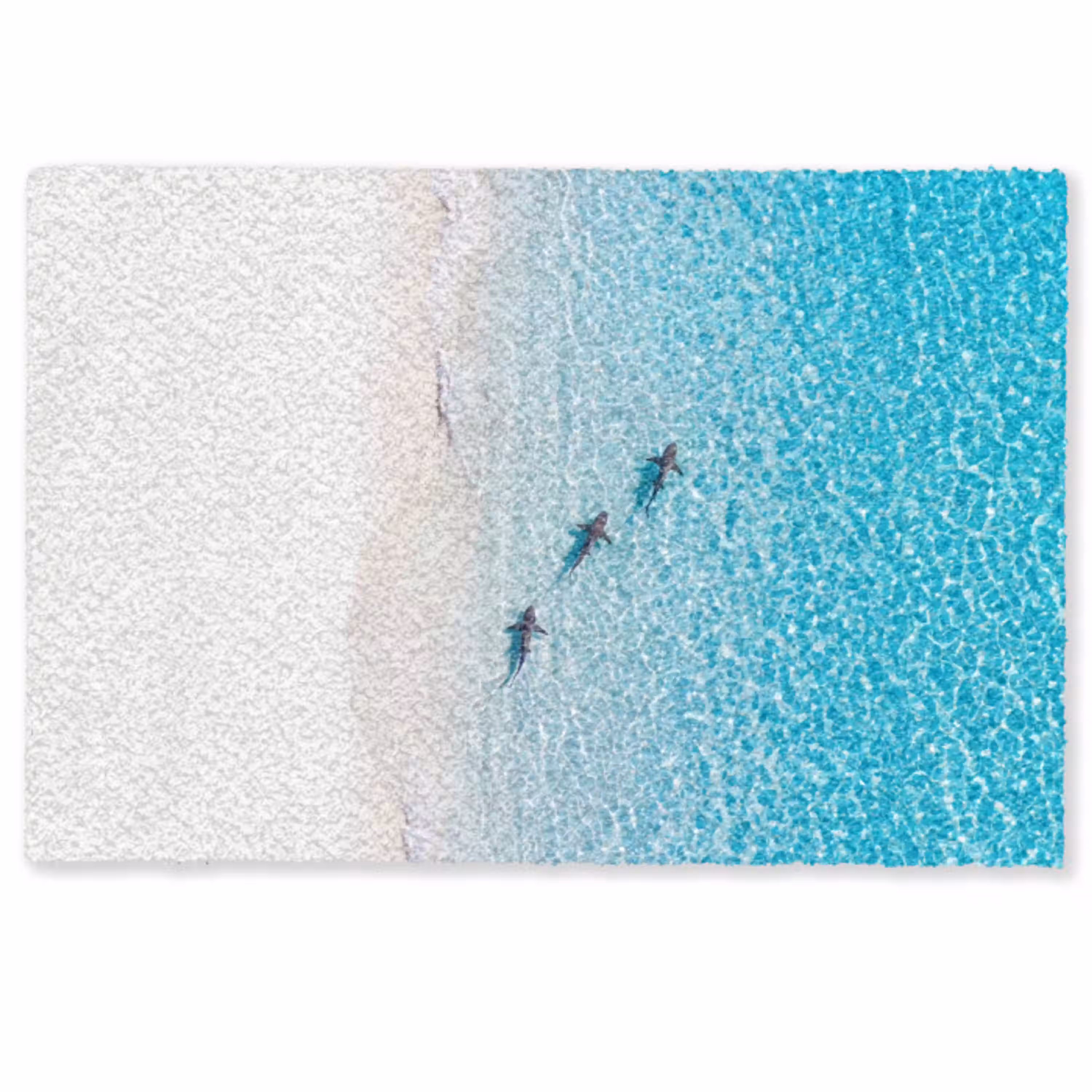 Vis - Oceaan - Strand - Turquoise - Natuur Deurmat klein -zkaufland3d