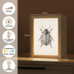 Kever - Insect - Vintage Light Box met kabel (Kinderlampje) klein -USP_NL