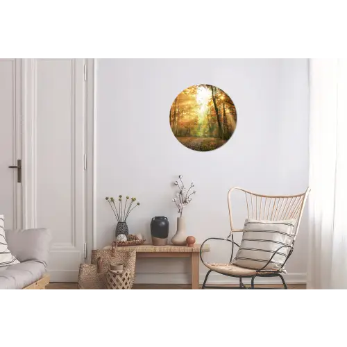 Bos - Herfst - Zon - Landschap - Natuur Wandcirkel aluminium klein -woonkamer