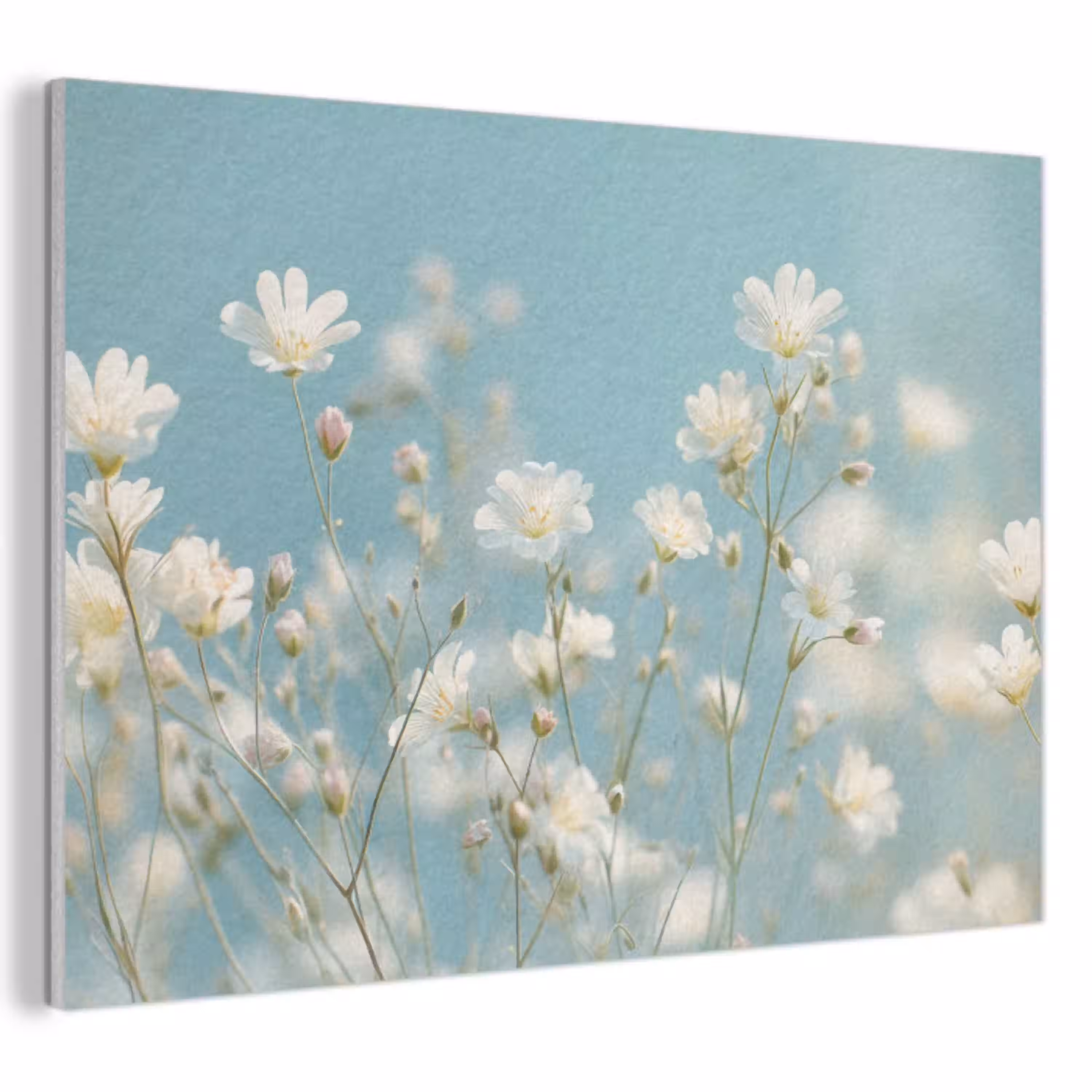 Stängel – Blumen – Luft – Weiß PET vilt klein -3d
