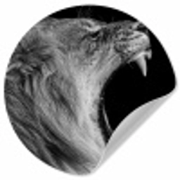 Dieren - Leeuw - Zwart - Wit - Portret Wandcirkel behangsticker klein -3d