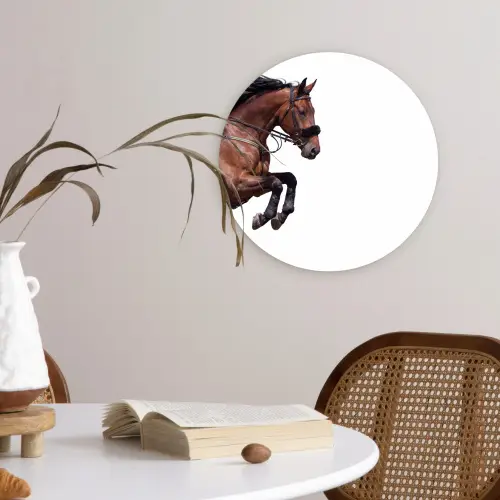 Paard - Springen - Modern Wandcirkel kunststof plaat 5mm dik klein -sfeer4