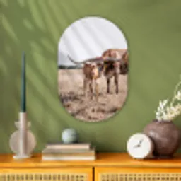 Texas Longhorn - Kalf - Weide - Dieren Wandcirkel Ovaal Forex klein -sfeer2