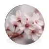 Bloesems - Meeldraden - Geel - Wazig Wandcirkel aluminium klein -3d